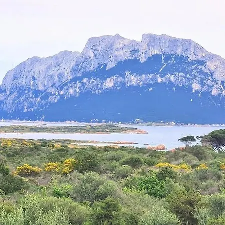 Casa Bellavista Porto San Paolo (Sardinia)